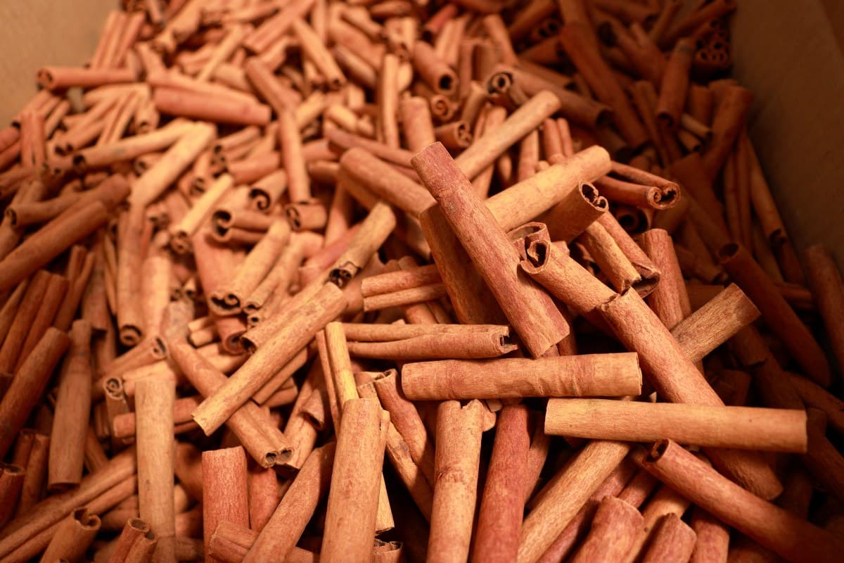 Close-up of premium Indonesian cassia cinnamon quills