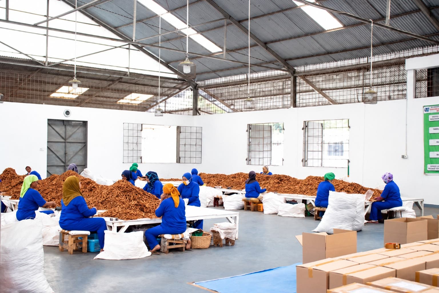 Workers sorting cinnamon bark at long tables inside a processing hall