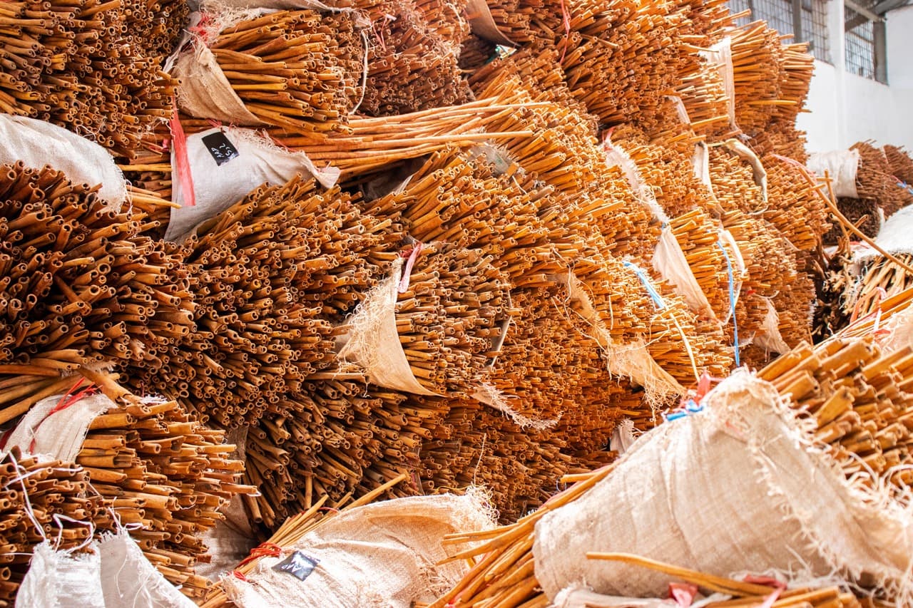 Cassia sticks in warehouse storage